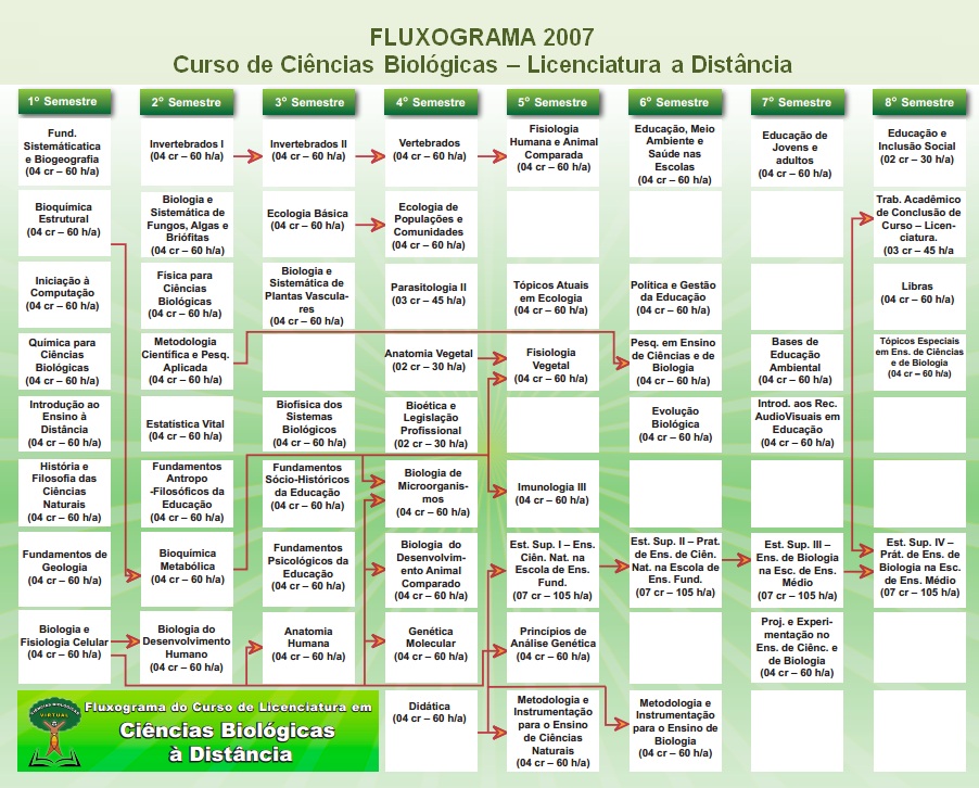 Fluxograma 2007